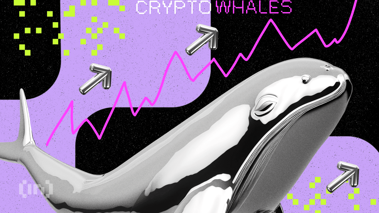 Le balene delle criptovalute acquistano queste 3 Altcoin per i guadagni di settembre