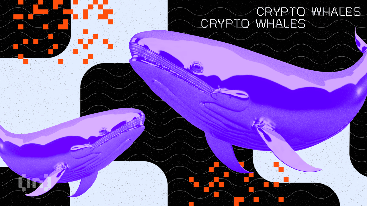 Cosa stanno comprando e vendendo le balene crypto durante un calo di mercato