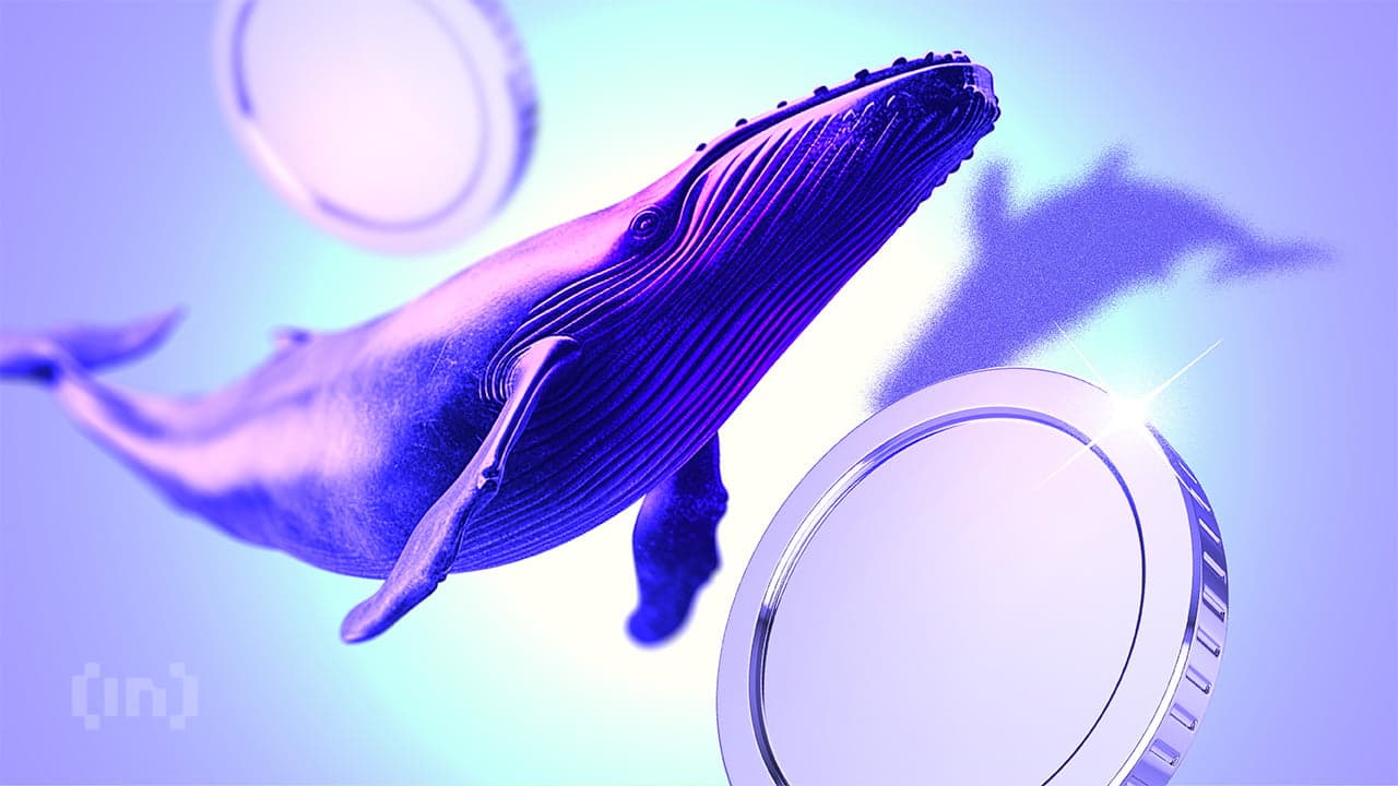 Le whale delle criptovalute hanno comprato queste altcoin nella seconda settimana di luglio 2024