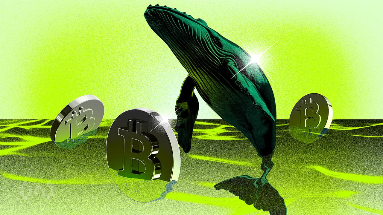 Il portafoglio Bitcoin inattivo dal 2010 si risveglia e trasferisce 3,28 milioni di dollari su Coinbase