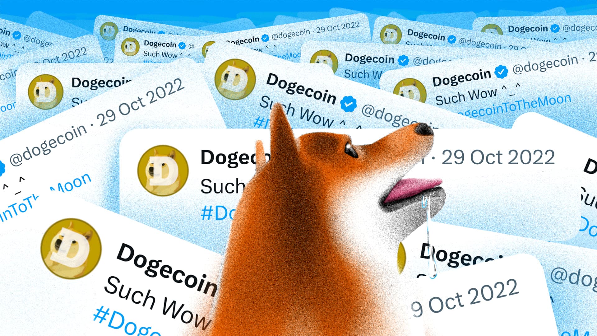 Fine di un&#8217;era: Kabosu, l&#8217;ispirazione del meme del Doge, è morto