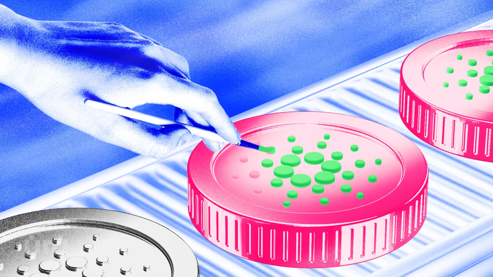 La Cardano Foundation mira ad accelerare l&#8217;adozione della blockchain nel settore pubblico del Brasile