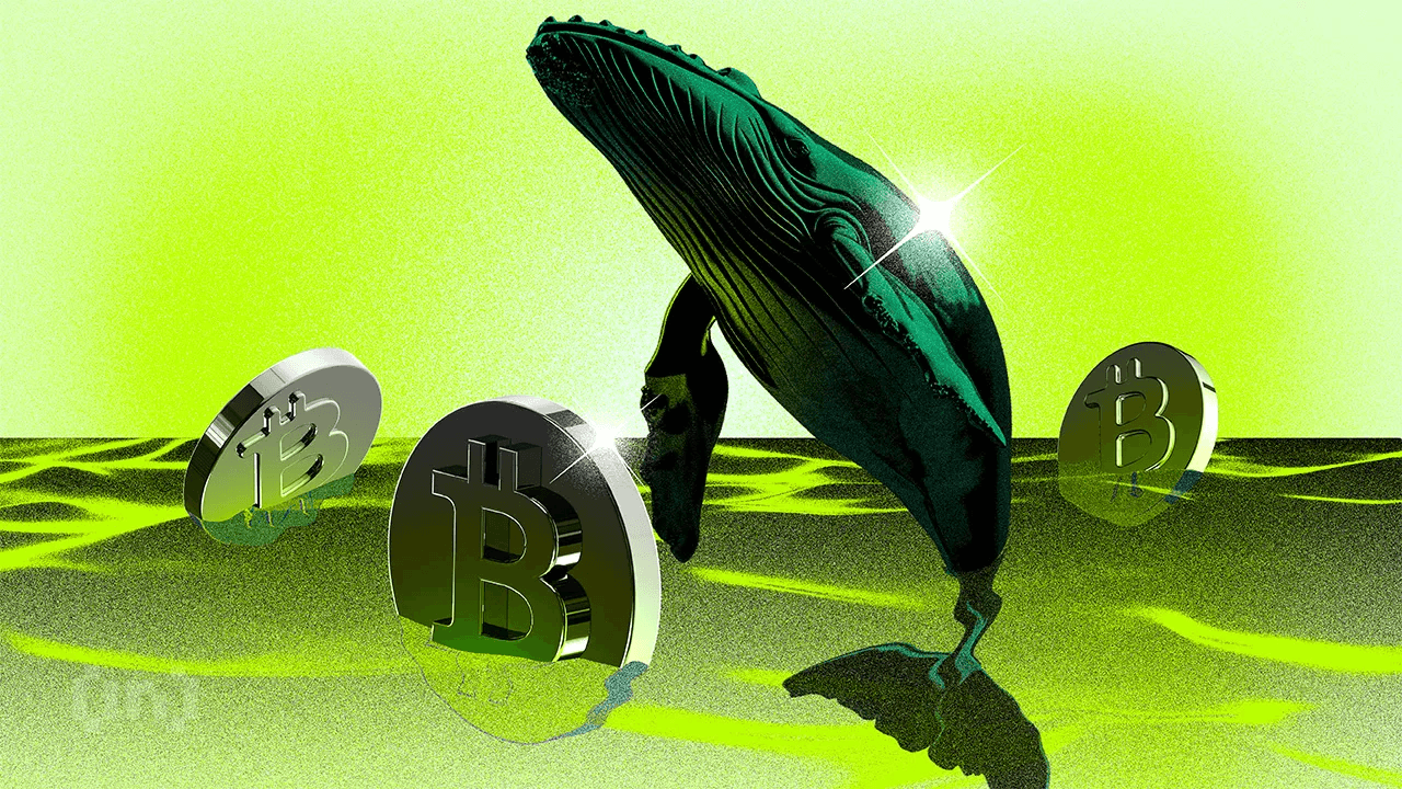 Nuove balene Bitcoin ora detengono la maggioranza del capitale BTC | Osservatorio settimanale delle balene